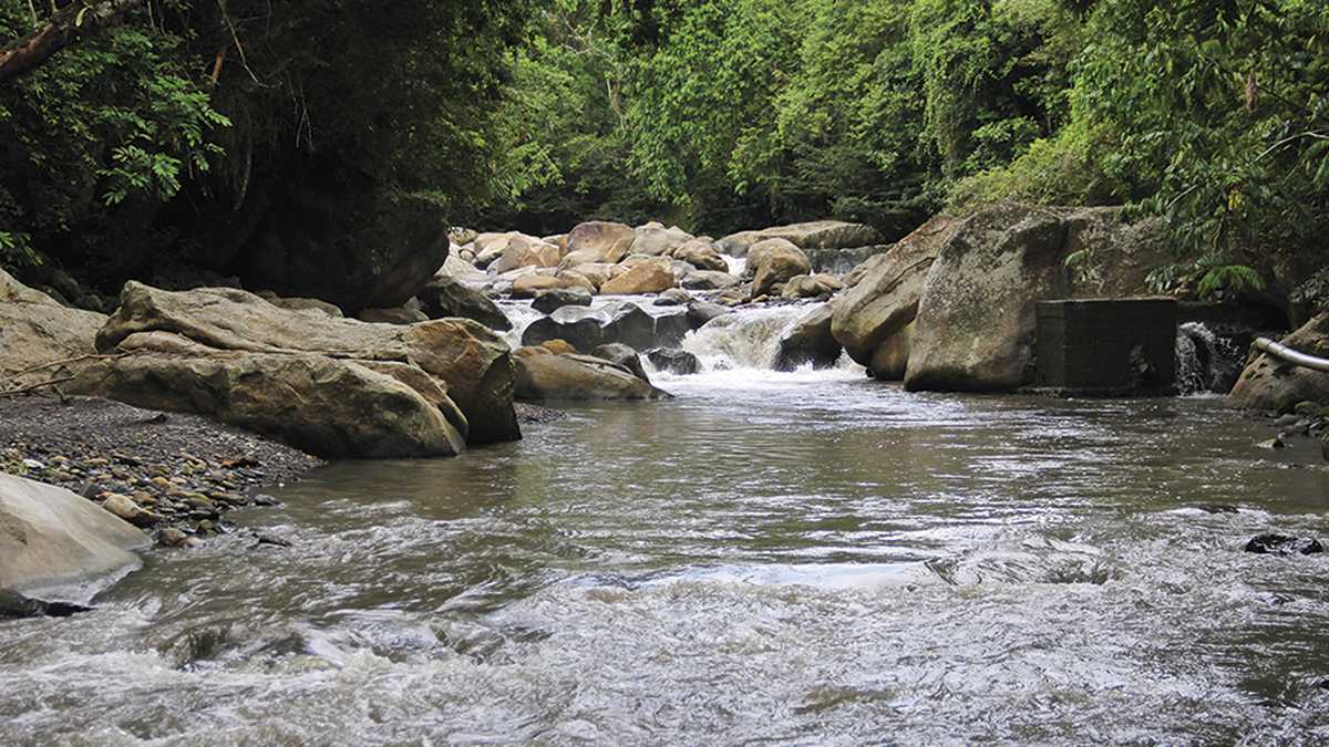 La conciencia ambiental y la articulación entre todos los sectores que influyen en la cuenca del río Bogotá es clave para lograr su recuperación. Foto: Nicolás Acevedo