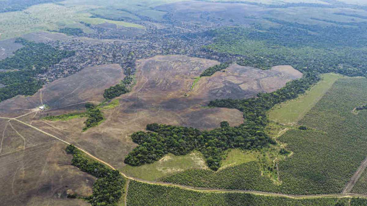 Entre enero y el 15 abril de este año los diez departamentos amazónicos perdieron 75.031 hectáreas  de bosque, según un estudio de FCDS. Foto:  Rodrigo Botero. 