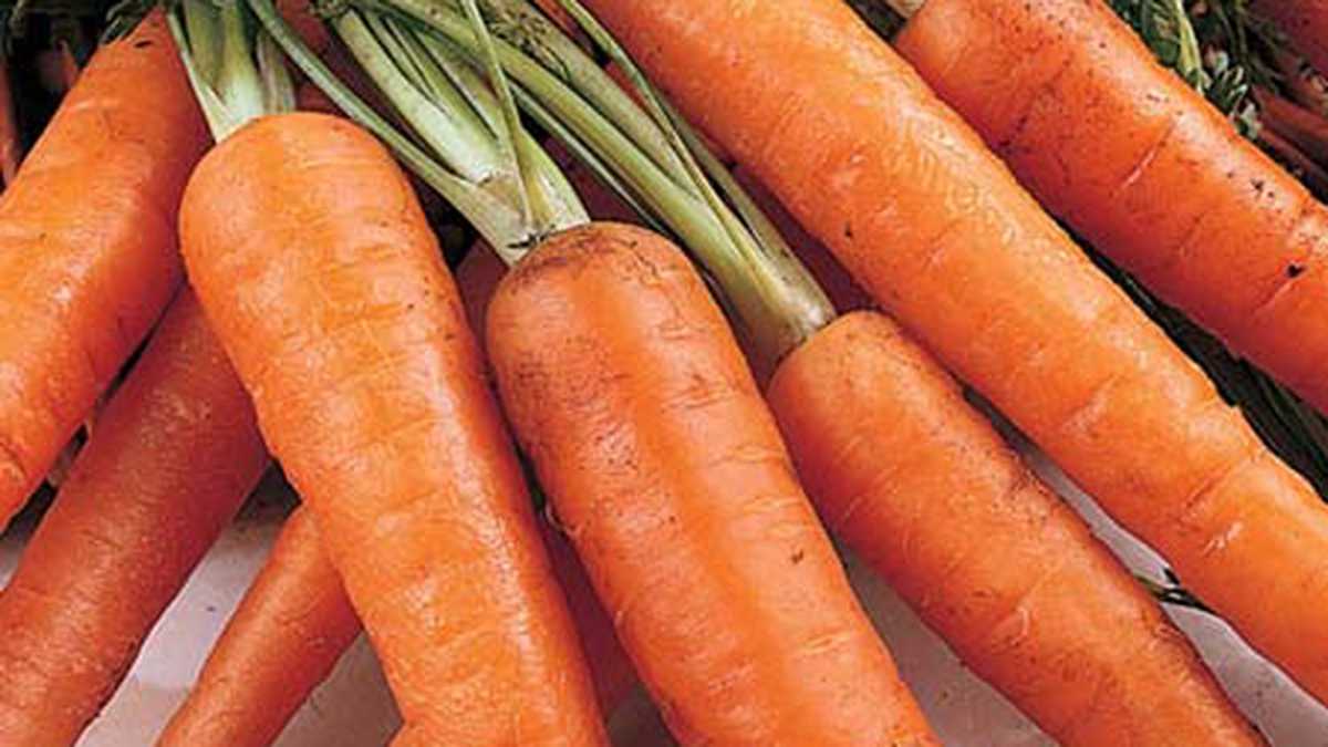 La zanahoria ayuda a mejorar el metabolismo.