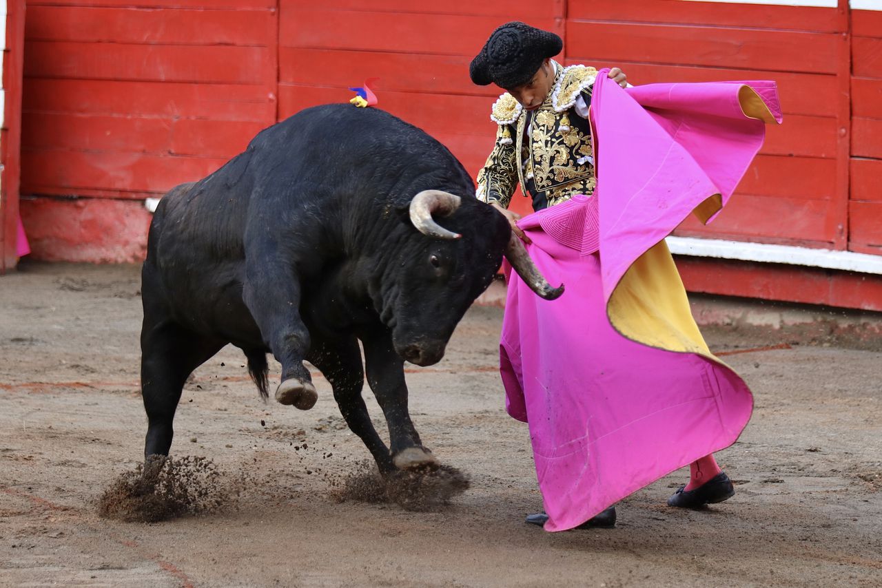 Luis Bolívar, torero colombo-panameño, uno de los grandes triunfadores de la Temporada Taurina de Manizales 2023.