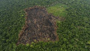 Esta imagen corresponde a uno de los parches de deforestación que existen en los montes del Caguán. Fue tomada el pasado marzo.