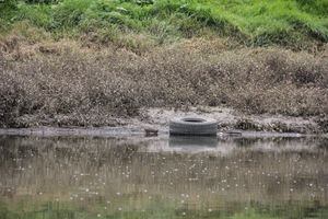 Cerca de 690 toneladas de basura son arrojadas al río Bogotá en su cuenca media.