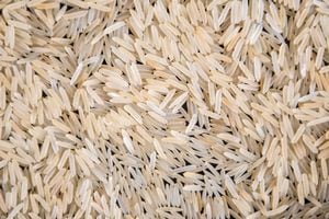 New Delhi, India - Basmati rice