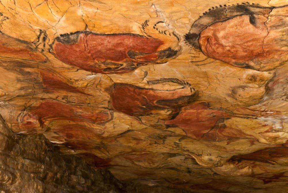 Vista del techo de la cueva de Altamira, en Cantabria. D. Rodríguez/Museo de Altamira/Wikimedia Commons, CC BY-SA