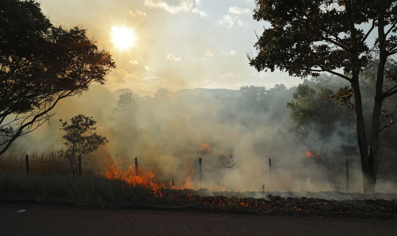 Vía Hato Corozal a Tame quemas agrícolas a cielo abierto
Arauca enero 6 del 2022
Foto Guillermo Torres / Semana
