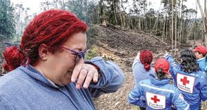   Esta semana que termina, agentes del CTI, bomberos y personal de la Cruz Roja Internacional estuvieron de nuevo en el lugar de la tragedia, pero el esfuerzo fue en vano.
