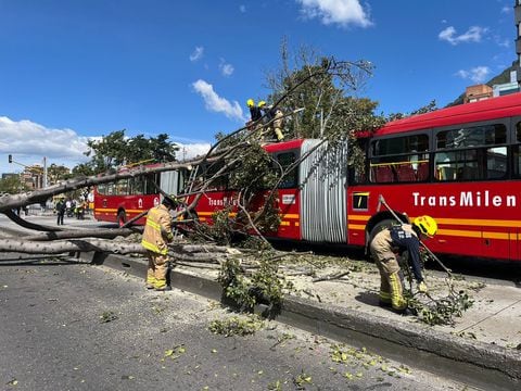 Árbol cayó encima de un bus de TransMilenio
