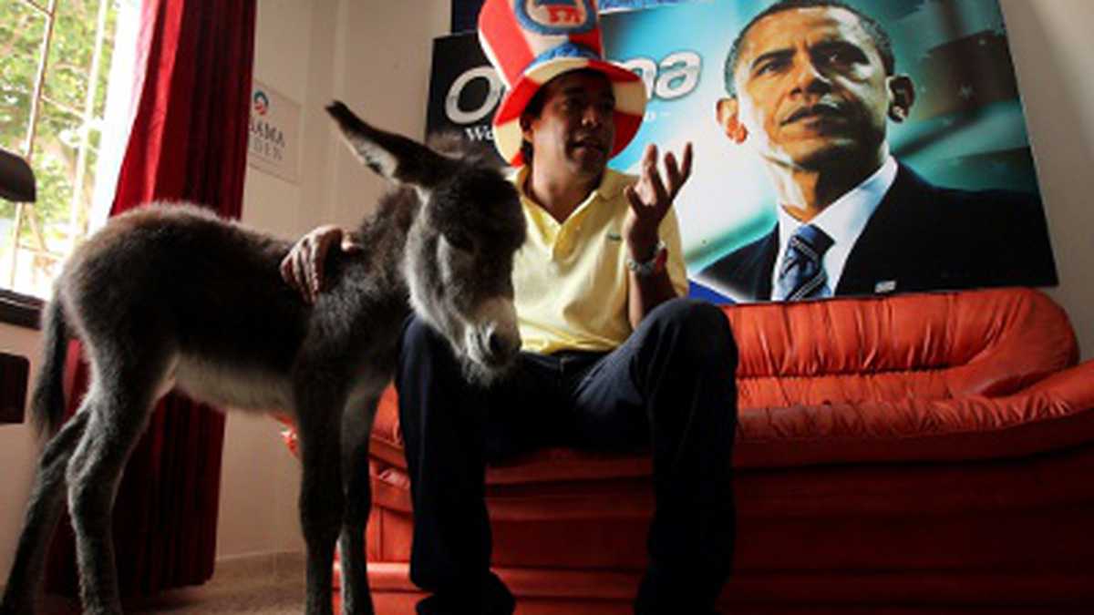 Silvio Carrasquillo, exalcalde de Turbaco, asegura que el burro será decisivo para la reelección de Obama. 