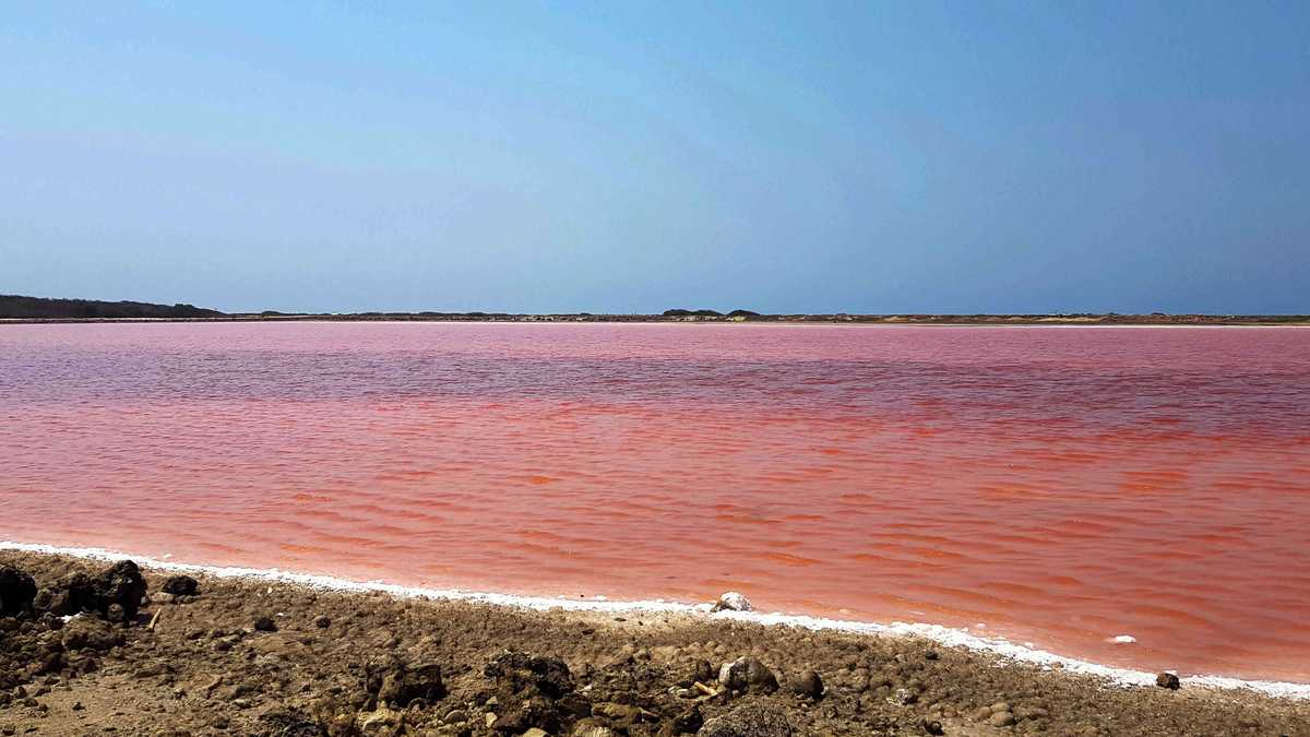 El mar rosa de las salinas de Salinas de Galerazamba es el resultado de un fenómeno natural derivado de la gran concentración de sal en sus aguas.