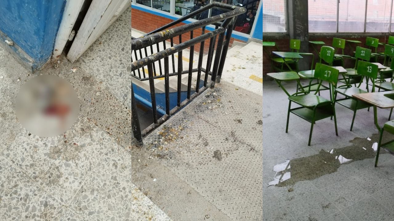 Un pichón muerto y estiércol de paloma en los pasillos del colegio. Las aulas están inundadas.