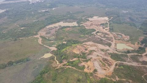 La deforestación en Colombia se concentra en los departamentos del Meta, Caquetá, Guaviare, Putumayo, Norte de Santander y Antioquia.