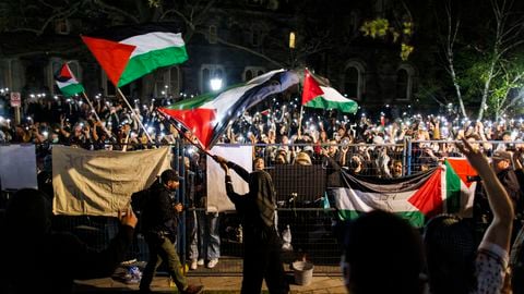 Docenas de universidades en Estados Unidos también han sido testigos de manifestaciones pro palestinas en las últimas semanas, que provocaron enfrentamientos con la policía y contraprotestas.