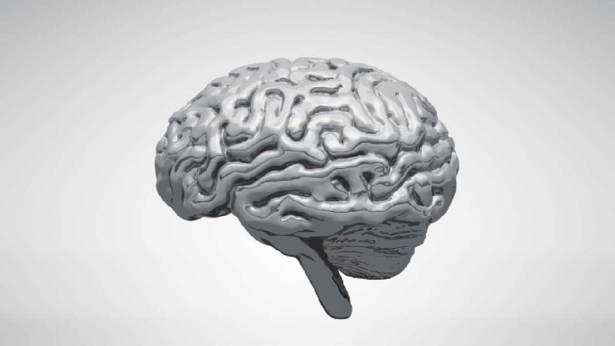 En la tercera edad es más necesario una buena provisión de nutrientes para fortalecer la memoria y mantener el correcto funcionamiento del cerebro. Foto: Getty images.