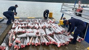 La Armada encontró 904 kilogramos de tiburón en la embarcación.