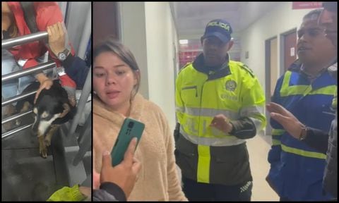 Familia de perrita atrapada en Transmilenio, denuncia chantajes de parte de funcionario de recaudo Bogotá
