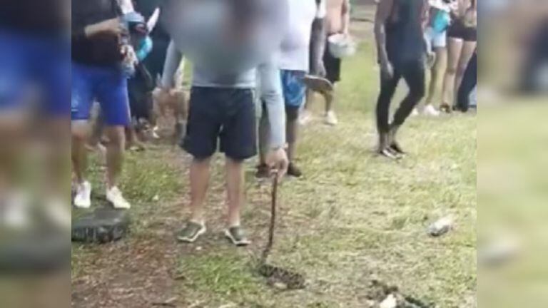 Turista en río Pance de Cali, sufrió mordida de serpiente; esto dicen las autoridades.