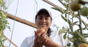 Artículo: Mujeres rurales, protagonistas de la transformación del campo