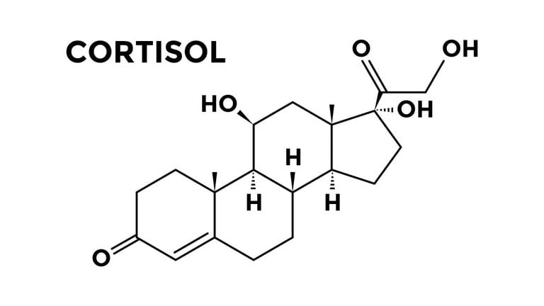 Al cortisol a veces se le llama la "hormona del estrés". Foto: Getty Images.