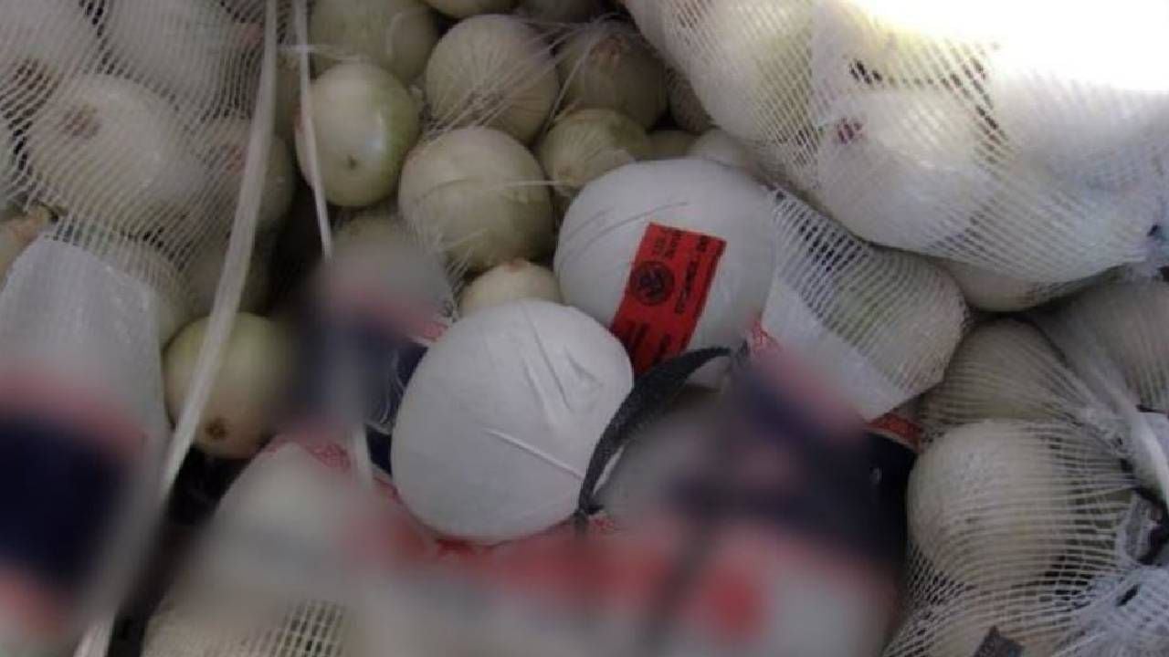 Un perro antidrogas alertó a las autoridades estadounidenses, que al abrir los sacos encontraron 1.197 paquetes de metanfetamina envueltos como si fueran cebollas, mezclados con bulbos reales.