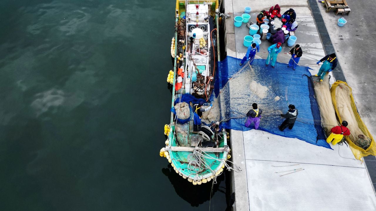 Pescadores lavan fideos para venderlos más tarde, en el puerto pesquero de Tsurishihama en Shinchimachi, a unos 55 km de la planta de energía nuclear inhabilitada Fukushima Dai-ichi, en la prefectura de Fukushima, Japón