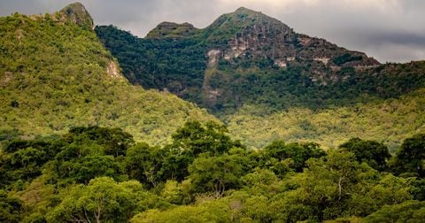Bosque seco tropical en Colombia