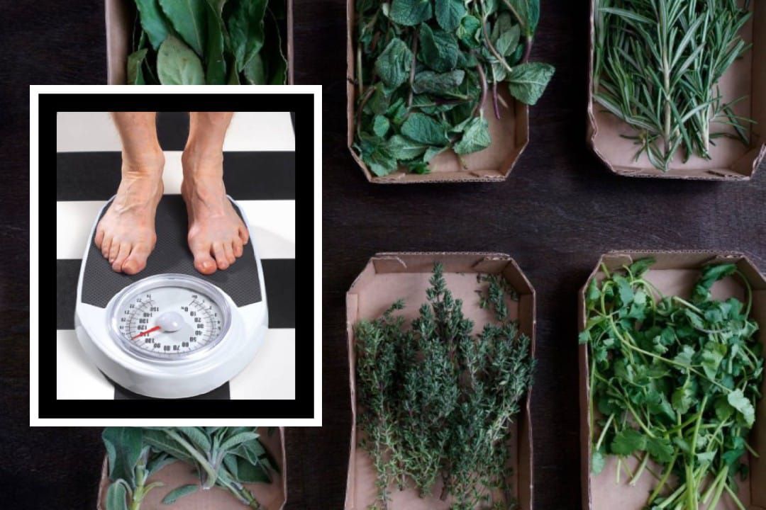 Bajar de peso con plantas medicinales