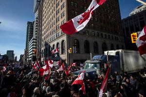 Camioneros y manifestantes se reúnen durante una protesta contra las restricciones por el COVID-19 en Toronto. Foto AP/Chris Young/The Canadian Press 