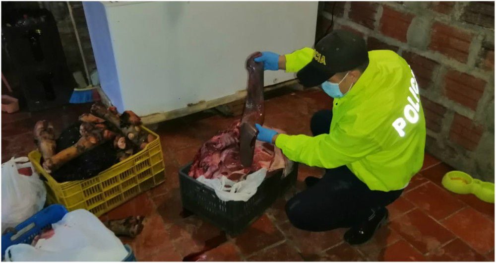 La carne podrida que se comercializaba en Colombia