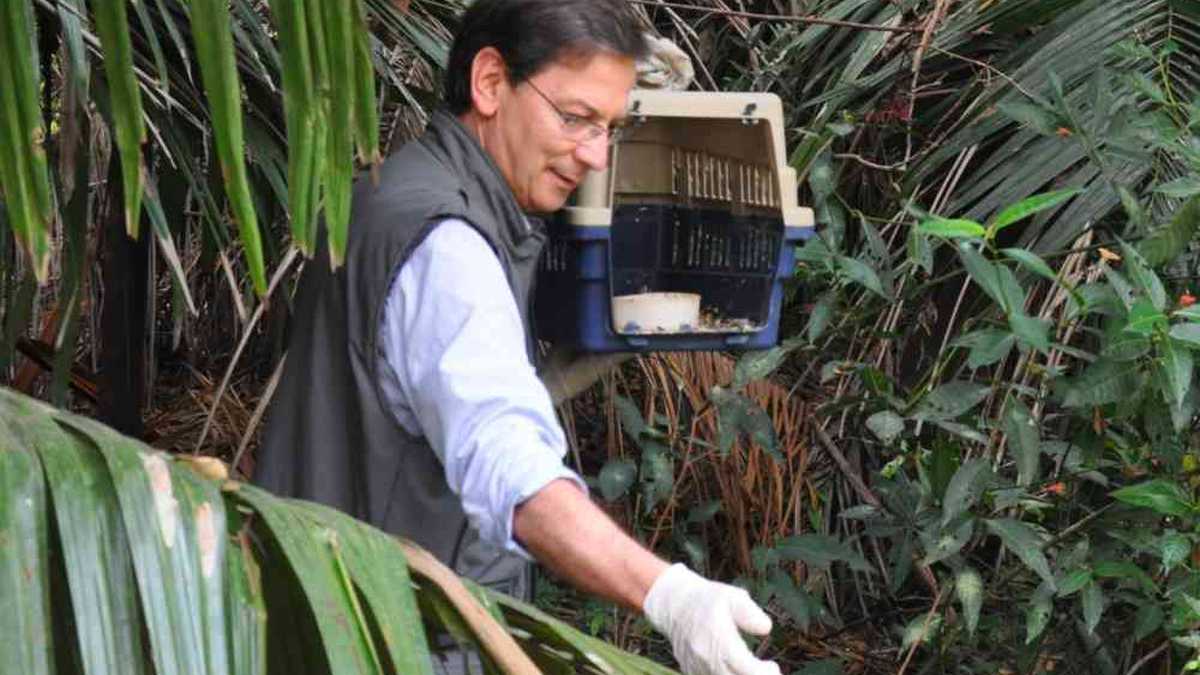 El director de Corpoboyacá, Ricardo López Dulcey, durante una jornada de liberación de fauna silvestre. Foto: prensa Corpoboyacá. 