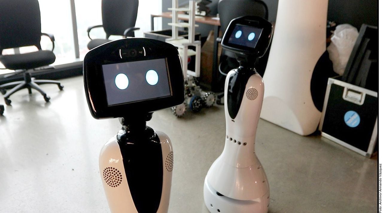 Robots humaniodes -- Roomie IT Services