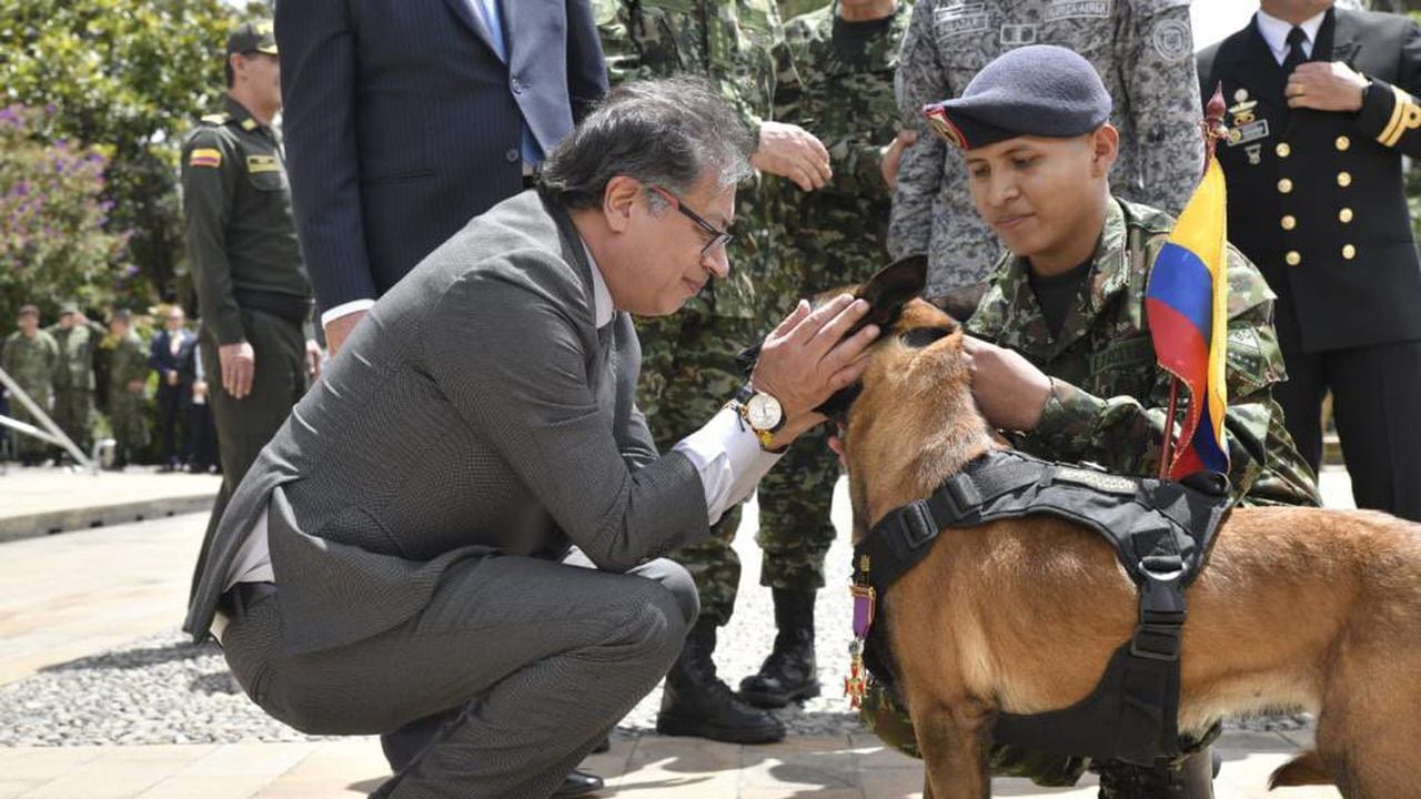 El presidente Gustavo Petro entrega una medalla a Drugia, la mamá de Wilson, el perro que ayudó a encontrar a los cuatro niños en la selva del Guaviare.
