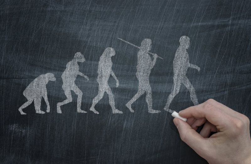 Hace 100.000 años convivieron diferentes grupos de humanos.
