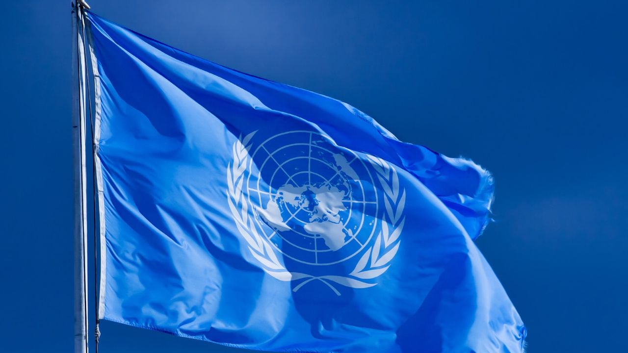 Bandera de las Naciones Unidas.