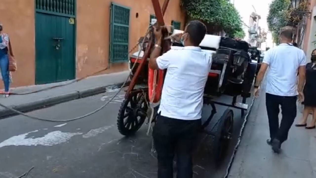 Cocheros en Cartagena denuncian que el vertimiento de sustancia viscosa hace resbalar a los caballos. Foto: Facebook Asociación de Cocheros de Cartagena.