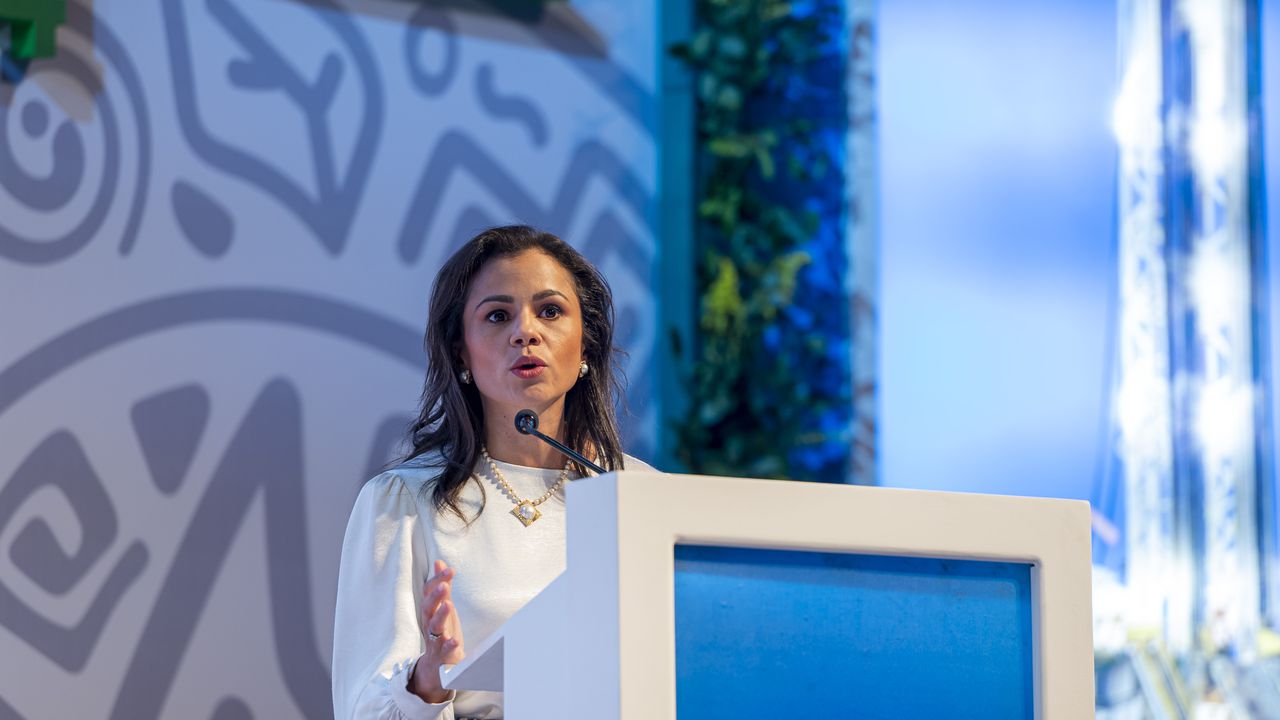 Luz Stella Murgas, presidente de Naturgas, se refirió al futuro del abastecimiento de gas en Colombia.