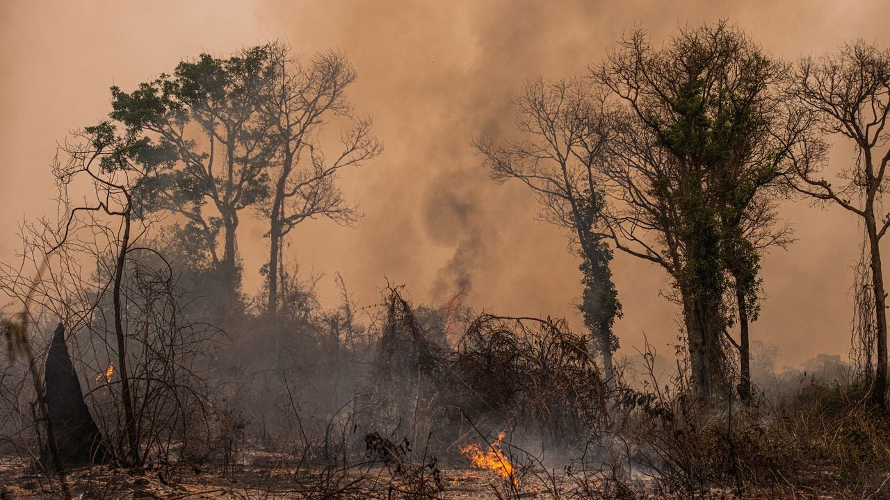 Incendios en selva amazónica