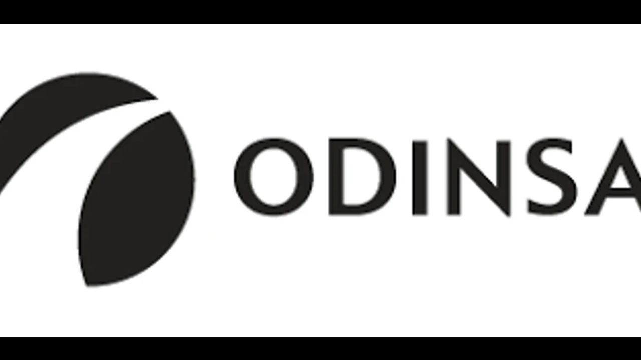 Logo de Odinsa