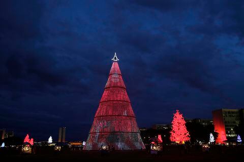 Los tradicionales árboles de navidad.