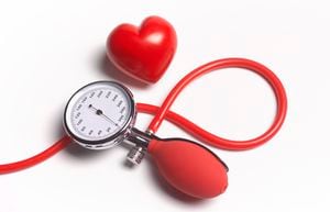 La presión arterial es el principal factor de riesgo de enfermedades cardiovasculares.