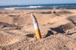 A cigarette butt lying on the sand.