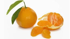 La mandarina contiene antioxidantes que pueden evitar algunas enfermedades y el envejecimiento prematuro. Foto: Gettyimages.