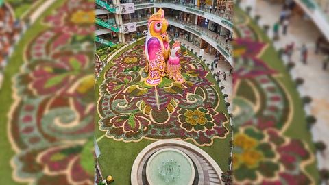 Un tapete con 200.000 flores naturales se exhibe en este centro comercial de Medellín