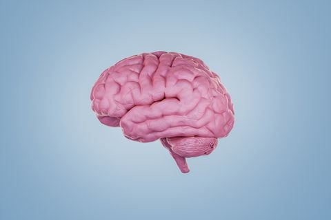digitally generated computer graphic illustration image of a human brain with a modeling clay texture.