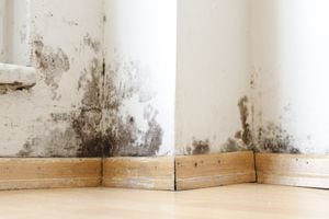 El moho en las paredes puede ser un problema estético y de salud, y el vinagre blanco se ha establecido como una solución segura y eficaz para combatirlo sin necesidad de productos químicos agresivos.