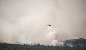 Francia vive una ola de calor que deja varios incendios forestales