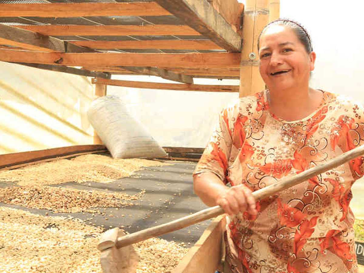 Durante 35 años, Mundo Mujer ha otorgado microcréditos a los colombianos: 30 años como Fundación y 5 años como Banco.