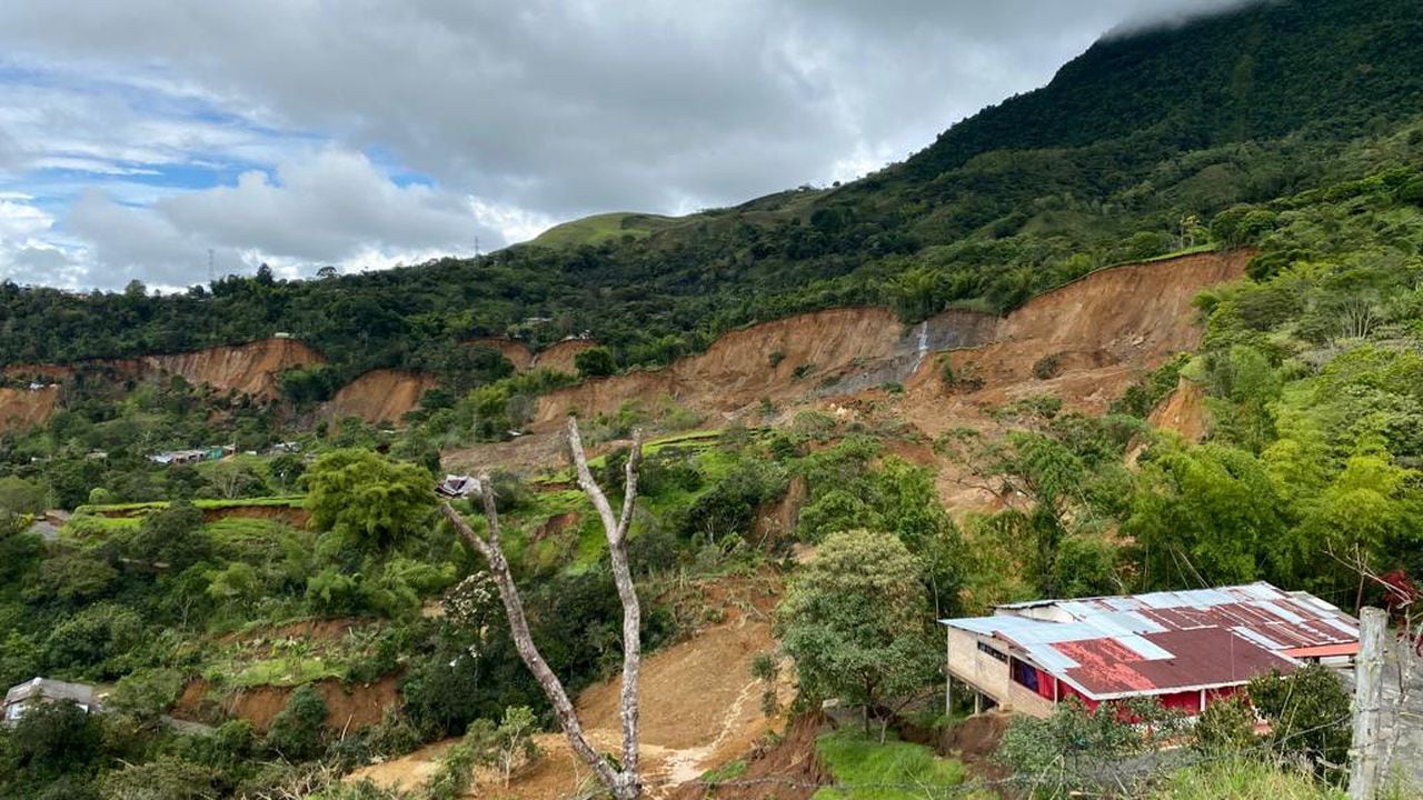 Los derrumbes en Rosas, Cauca, comprometieron 50 hectáreas de tierra.