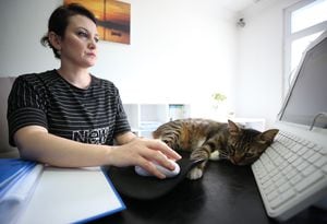 ¿Por qué los gatos duermen sobre los computadores?