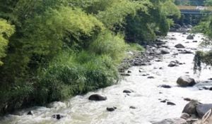 En el Día Mundial del Agua así buscan salvar el Río Suratá