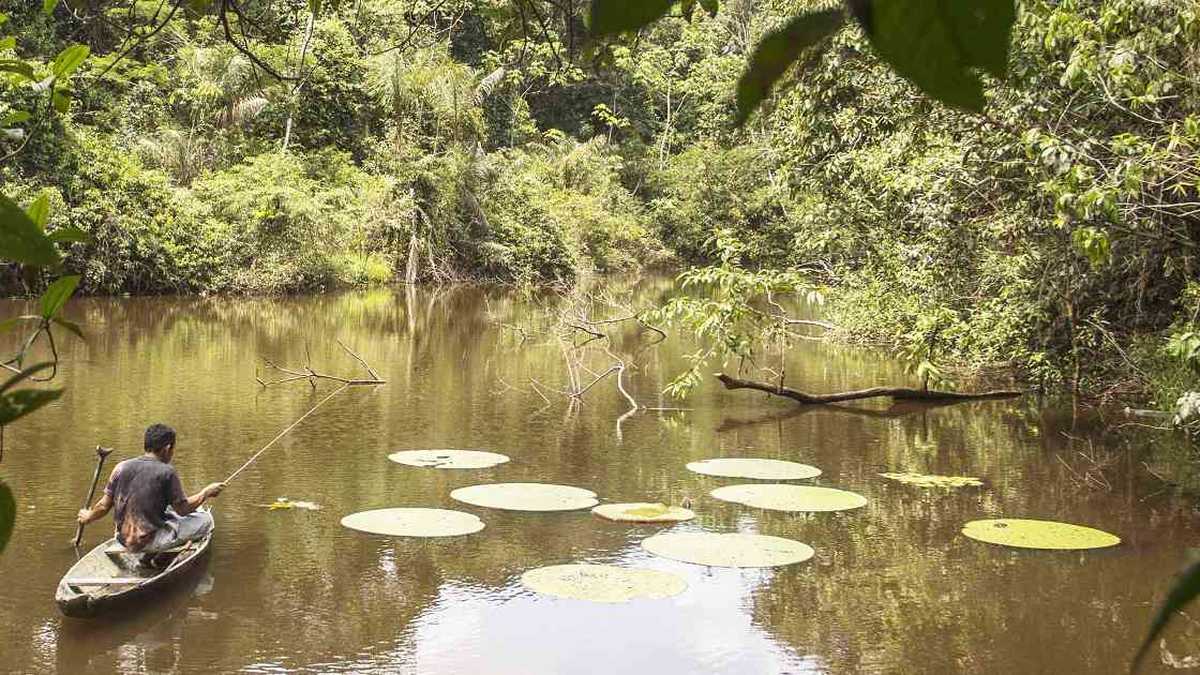 La vigilancia y protección de la las áreas protegidas se ha dificultado durante la época de pandemia. Este es el Parque Natural Amacayacu en la Amazonia colombiana. Foto: Parques Nacionales Naturales.